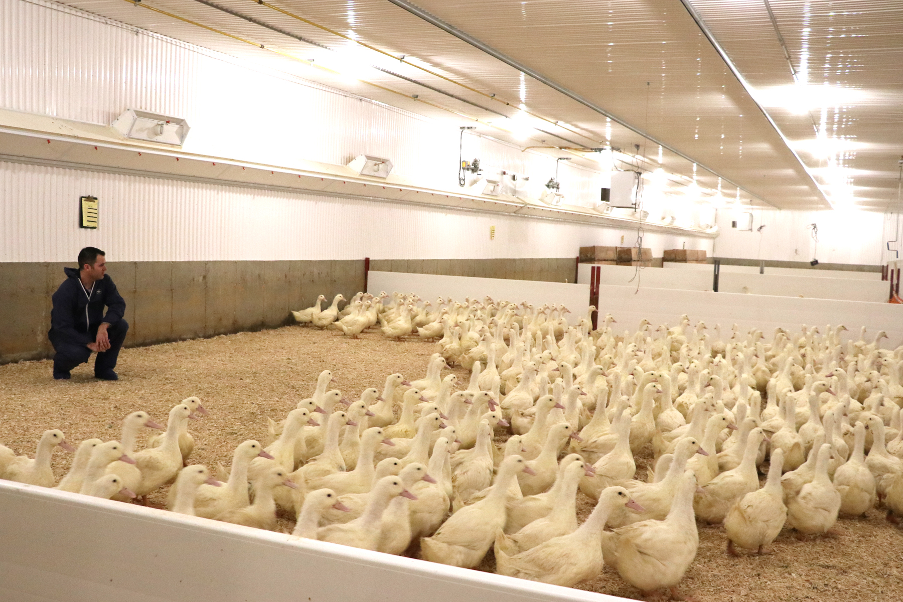 éleveur responsable